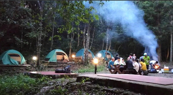 Cắm trại trong rừng