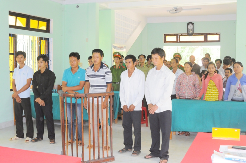 Phạt tù 6 đối tượng khai thác gỗ trái phép trong rừng đặc dụng  Vườn quốc gia Bạch Mã