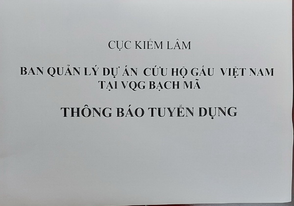 Ban quản lý dự án cứu hộ Gấu Việt Nam tại Vườn quốc gia Bạch Mã thông báo tuyển dụng