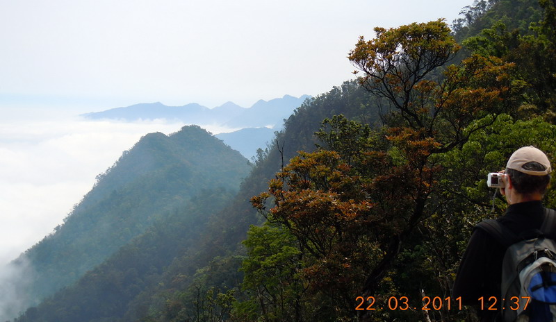 Tài nguyên rừng