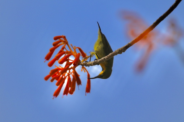 Phát động Cuộc thi ảnh nghệ thuật 