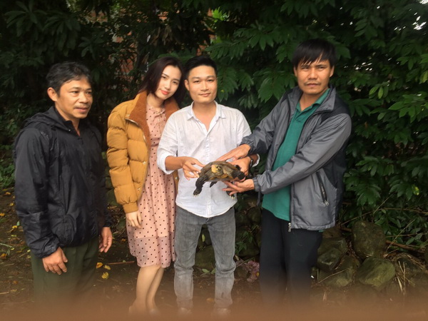 Trung tâm Cứu hộ, bảo tồn và phát triển sinh vật Vườn quốc gia Bạch Mã tiếp nhận và tái thả cá thể Rùa núi viền từ người dân tình nguyện bàn giao