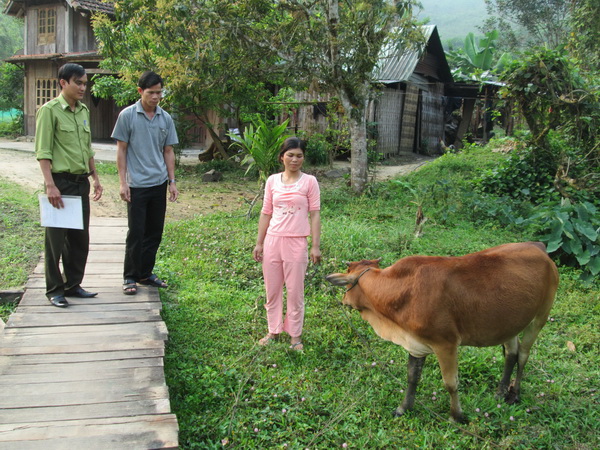 Chương trình Phát triển sinh kế cho người dân vùng đệm VQG Bạch Mã